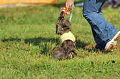 050918_sports_A-0325_thumb.png