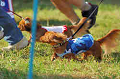 050918_sports_A-0331_thumb.png