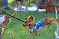 050918_sports_A-0333_thumb.png