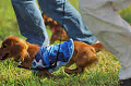 050918_sports_A-0334_thumb.png
