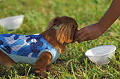 050918_sports_A-0335_thumb.png