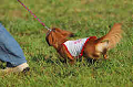 050918_sports_A-0336_thumb.png