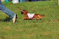 050918_sports_A-0337_thumb.png