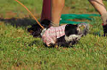 050918_sports_A-0338_thumb.png