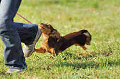 050918_sports_A-0343_thumb.png