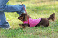 050918_sports_A-0347_thumb.png