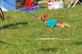 050918_sports_A-0352_thumb.png