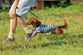 050918_sports_A-0370_thumb.png
