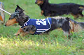 050918_sports_A-0373_thumb.png