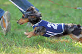050918_sports_A-0374_thumb.png