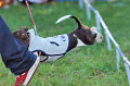 050918_sports_A-0376_thumb.png