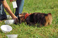 050918_sports_A-0381_thumb.png