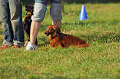 050918_sports_A-0390_thumb.png