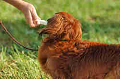 050918_sports_A-0394_thumb.png
