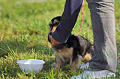 050918_sports_A-0401_thumb.png