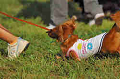050918_sports_A-0404_thumb.png