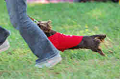 050918_sports_A-0418_thumb.png