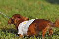 050918_sports_A-0419_thumb.png