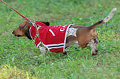 050918_sports_A-0447_thumb.png
