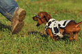 050918_sports_A-0458_thumb.png