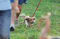 050918_sports_A-0475_thumb.png