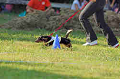 050918_sports_A-0476_thumb.png