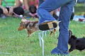 050918_sports_A-0489_thumb.png