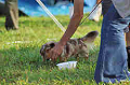050918_sports_A-0490_thumb.png