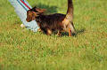 050918_sports_A-0491_thumb.png