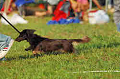 050918_sports_A-0492_thumb.png