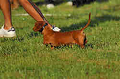 050918_sports_A-0493_thumb.png