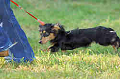 050918_sports_A-0494_thumb.png