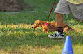 050918_sports_A-0497_thumb.png