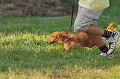 050918_sports_A-0498_thumb.png