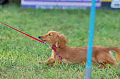 050918_sports_A-0499_thumb.png
