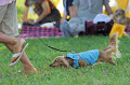 050918_sports_A-0504_thumb.png