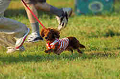 050918_sports_A-0510_thumb.png