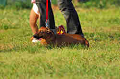 050918_sports_A-0516_thumb.png