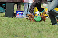 050918_sports_B-0524_thumb.png