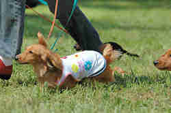 050918_sports_B-0526.jpg
