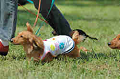 050918_sports_B-0526_thumb.png