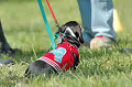 050918_sports_B-0528_thumb.png