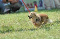 050918_sports_B-0532_thumb.png