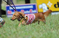 050918_sports_B-0534_thumb.png