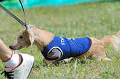 050918_sports_B-0536_thumb.png
