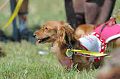 050918_sports_B-0543_thumb.png