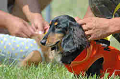 050918_sports_B-0547_thumb.png