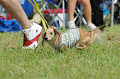 050918_sports_B-0552_thumb.png