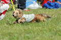 050918_sports_B-0553_thumb.png