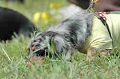 050918_sports_B-0555_thumb.png